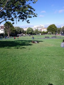 Duboce Park in SF