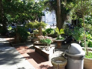 Meditative seating at Jumpin' Java Cafe