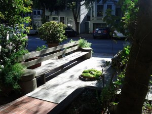 One of the remaining original-style benches. And a simple bowl of mosses and a scholar stone.