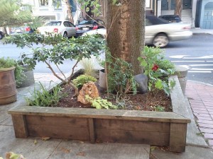 Built-ins with seating edging. Note the collar to protect the trunk from direct soil contact.
