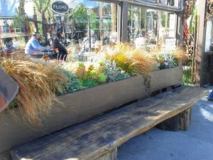 Cafe Flore participates with a vigor in beautifying the neighborhood!