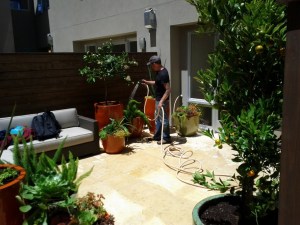 Tony finishing off the wash-down