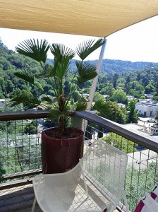 deckcornerafter deckcornerafter