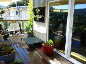 dogbedafter afterwoolly