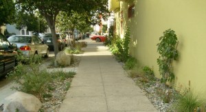 sidewalk-garden