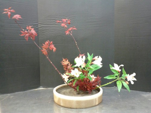 2012-03-20-20-41-12-513_edit0