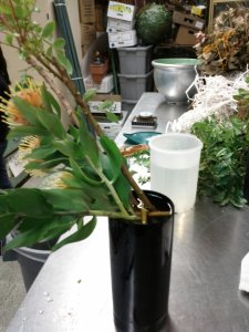 2012-04-03-19-31-01-537