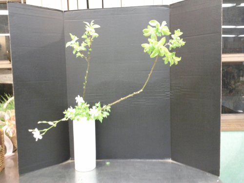 2012-04-10-20-23-31-267