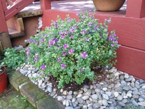 2012-04-14-14-58-21-157