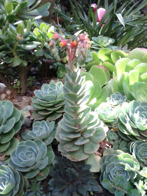 2012-04-14-14-58-55-921