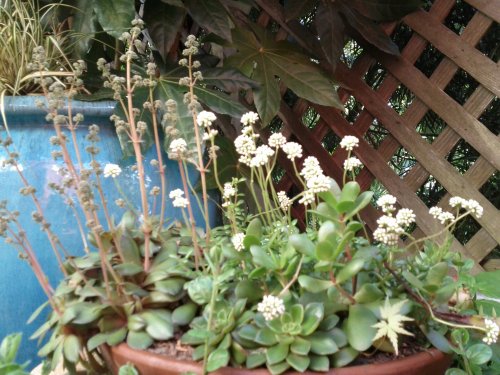 2012-04-14-14-59-14-688