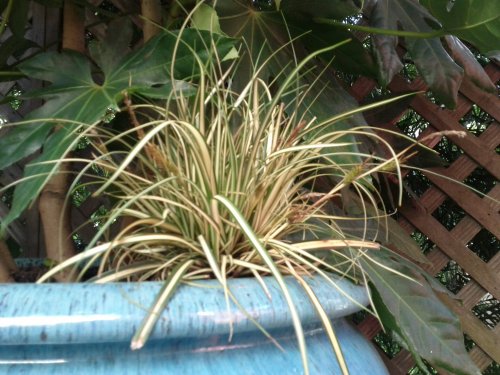 2012-04-14-14-59-40-895