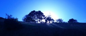 2012-11-10-13-41-33-037