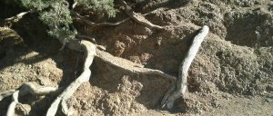 2012-11-10-13-44-59-097