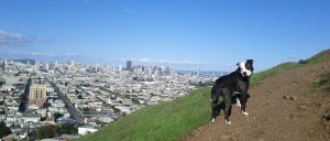 2012-11-10-13-48-16-125