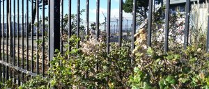 2012-11-10-14-03-24-205