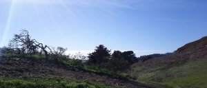 2012-11-10-14-08-23-270