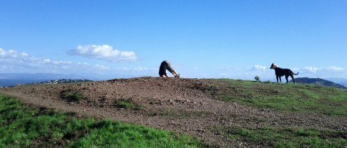 2012-11-10-14-09-38-458