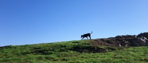 2012-11-10-14-11-12-089