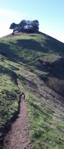 2012-11-10-14-12-50-390