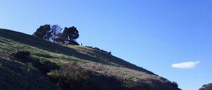 2012-11-10-14-14-49-939