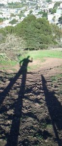 2012-11-10-14-21-50-320