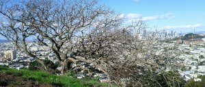 2012-11-10-14-22-14-189