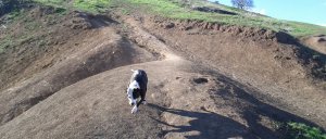 2012-11-10-14-23-41-543