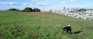 2012-11-10-14-24-19-175