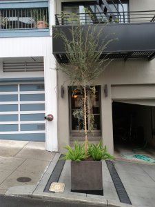 2012-11-16-12-26-07-646