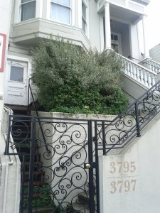 2012-11-17-10-45-01-208