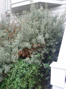 2012-11-17-10-48-21-604