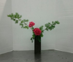 Slanting Nageire Variation #2, with Asparagus retrofractus and hot pink carnations.
