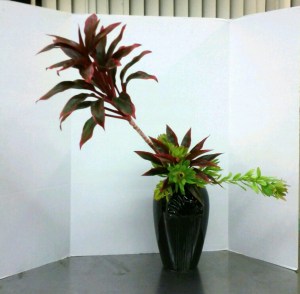 Slanting Nageire Variation #4. This is a bright green Leucadendron 'Safari Goldstrike' with a dracaena hybrid houseplant whose name I can't remember. The bulky plant materials meant I really needed to balance with a chunky container.