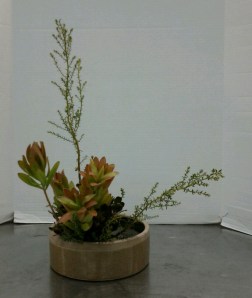 Upright Moribana Variation #2.