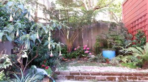 The Fern Grotto complete!