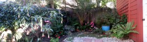 A pano shot of the whole Fern Grotto.