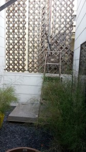 Before: Trellis ready for Woolly Pockets.