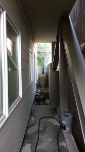 There's the Maya palm, WAY down there.