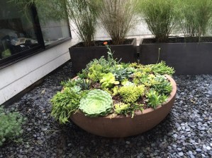 A closeup of the new focal point of the lightwell.