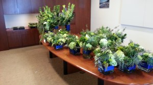 A herd of arrangements, in the room they had set aside for me to stage them and fluff them after their car ride.