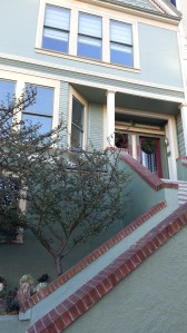 They also want something potted and spectacular for the little nook next to the bay window upstairs. Fun!