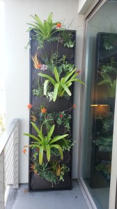 This panel faces east, and will get the morning sun.