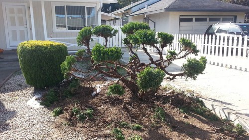 16023472027_cf15e3d439_z