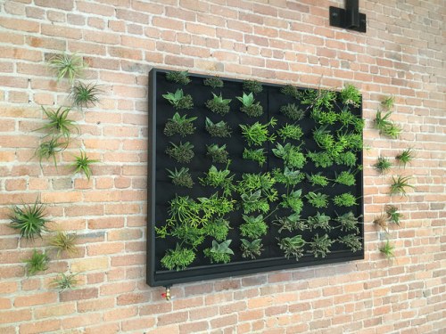 16503088119_36d1bb0d39_z