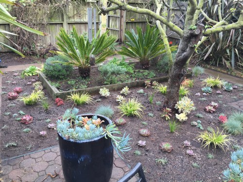 16736635428_84c2c90495_k